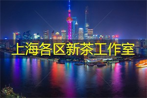 建议参加行业内品牌展会2013第六届中国国际化妆品、个人及家庭护理品用品原料用品展览会